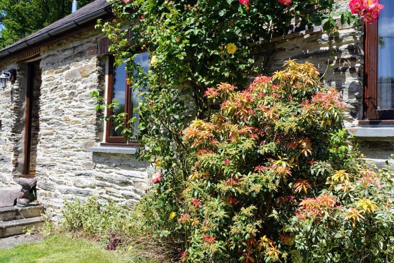 Troedyrhiw Holiday Cottages Cardigan Exterior photo